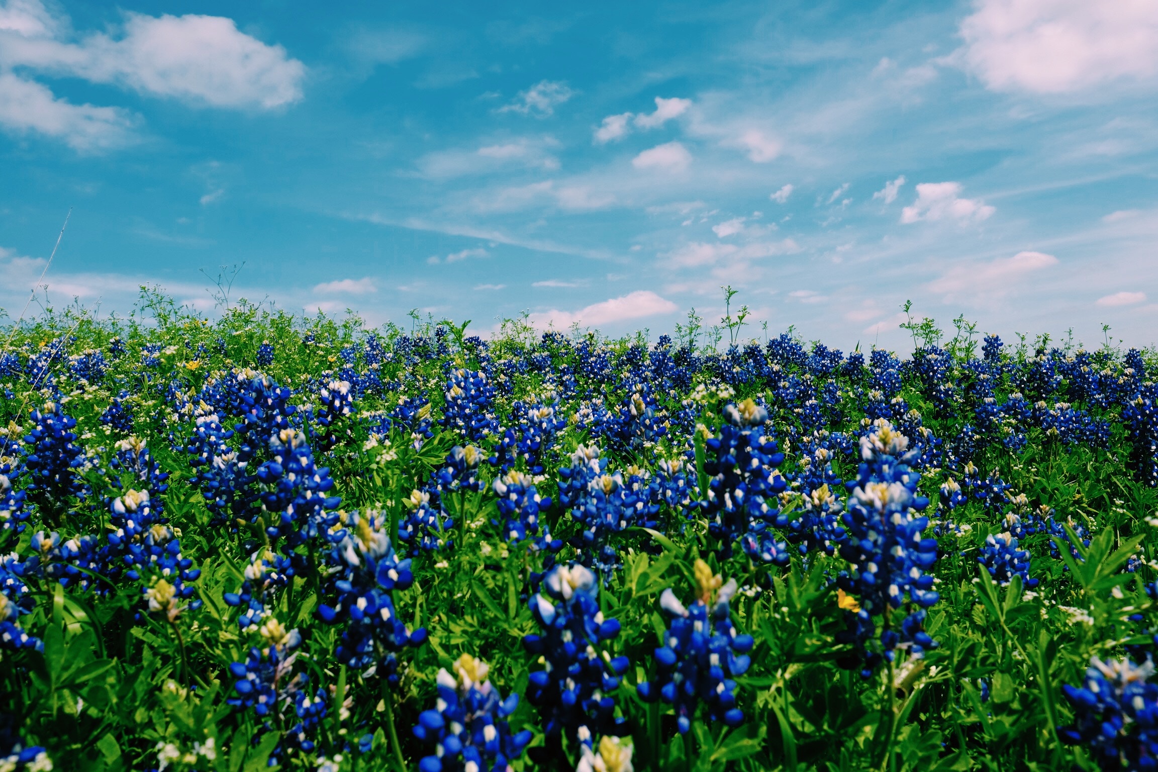 Last Minute Summer Vacation Ideas Around Texas